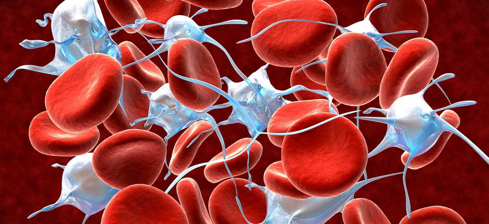 AI-Powered Blood Disease Detection